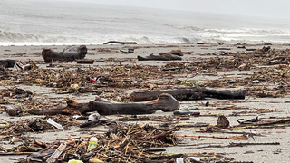 杜蘇芮帶來漂流木  台東林管處提醒尚未開放撿拾