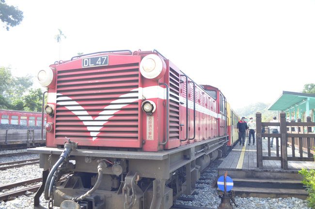 嘉義林管處轄景點、阿里山林鐵  29日恢復營運 | 華視新聞
