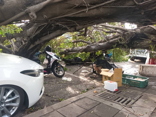 颱風杜蘇芮遠颺  高雄路樹倒塌壓傷2人 | 華視新聞