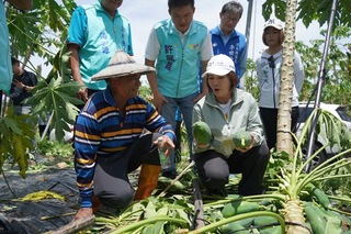 屏東香蕉、瓜果類213公頃災損  農損逾1200萬