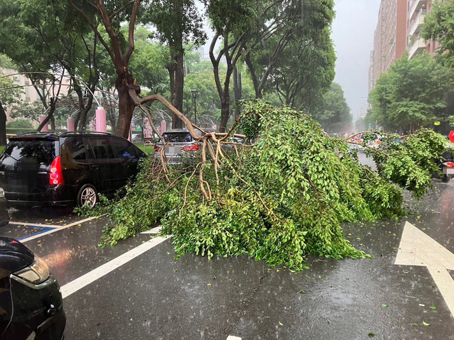 台中午後滂沱大雨  路樹倒塌1車遭壓損 | 華視新聞
