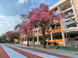 教育部補助18校4173萬元  修繕校園牆面護安全