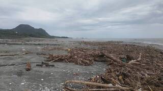 颱風後撿漂流木被逮 花蓮林管處籲公告開放前勿撿拾