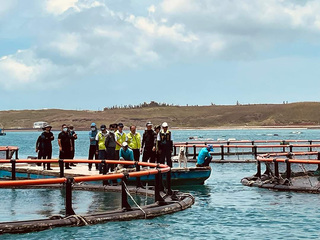 風災重創澎湖養殖業 縣府爭取專案補助