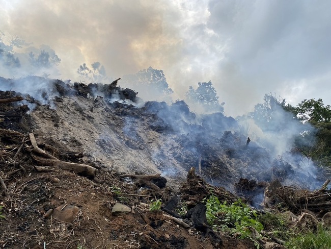 苗栗三義堆置30噸廢樹枝悶燒 環局開罰移警偵辦 | 華視新聞