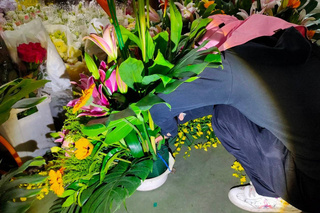 台南新增34例本土登革熱  傳統市場列防疫重點