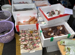 彰化查獲首例販售抱卵母蟹28隻 函報裁處最高罰15萬