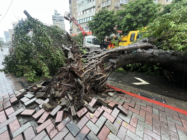 颱風卡努近台 雙北多處路樹倒 | 華視新聞