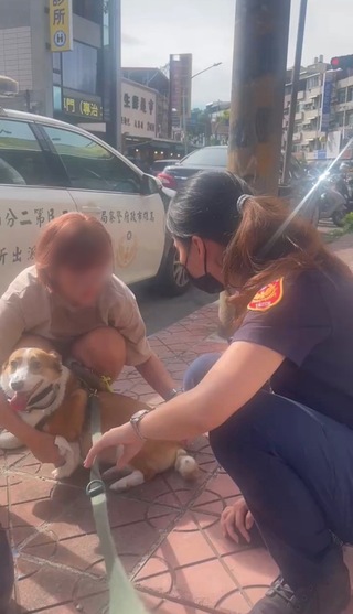 情侶鬧分手還弄丟愛犬  警助尋找開導情傷