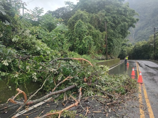 卡努颱風影響山區大雨  台8線2處路樹倒塌 | 華視新聞