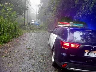 雨炸南投仁愛 土石流掩埋貨車、邊坡沖泥水瀑布