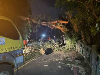 新北新店路樹壓斷電桿起火 725戶停電估中午恢復