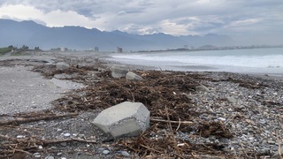 花蓮溪床、海岸地區漂流木 即日起開放撿拾