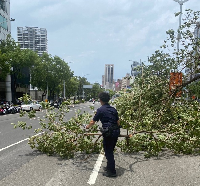高雄市區風大路樹傾倒 警方與民眾合力排除 | 華視新聞