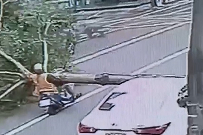 台南風大吹倒路樹 1機車騎士遭壓傷送醫 | 華視新聞