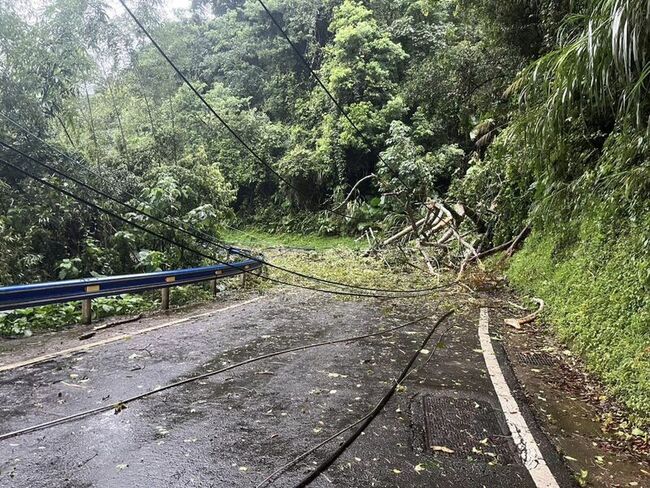 新竹五峰山區樹木倒塌 道路中斷逾200戶停電 | 華視新聞