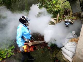 嘉縣4人確診本土登革熱 啟動化學防治