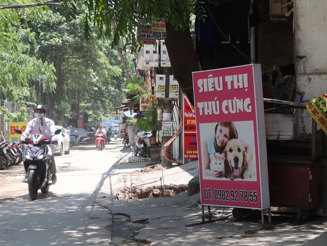 越南動保意識抬頭吃狗肉退燒  河內一年倒300家店 | 華視新聞