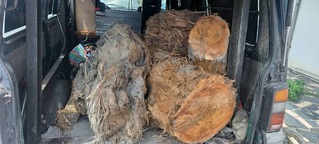 花蓮公告開放撿縣內漂流木 中央管河川仍屬禁區