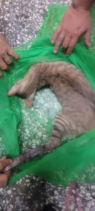 避免違法使用獸鋏陷阱  雲林深入社區校園宣導