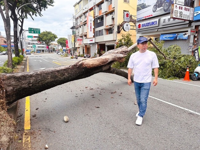 中市豐原區路樹倒塌  市府清除障礙搶通 | 華視新聞