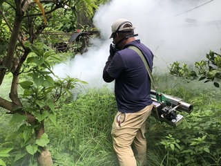 彰化首例本土登革熱個案 女在古坑筍園遭蚊叮咬