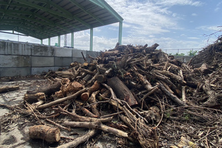 清理風雨中倒伏樹木 台南開放民眾領用