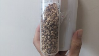 壽山公園用蘇力菌滅蚊  學者：不會影響人體