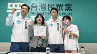 高市立委選舉 綠力守8席、藍白盼有合作空間