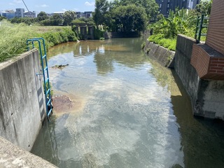 竹北翁厝圳遭油污染  環保局：不排除地下工廠偷排