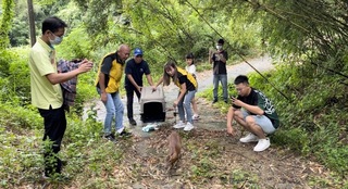 苗栗救傷復原野放回山林 村民歡送祝福