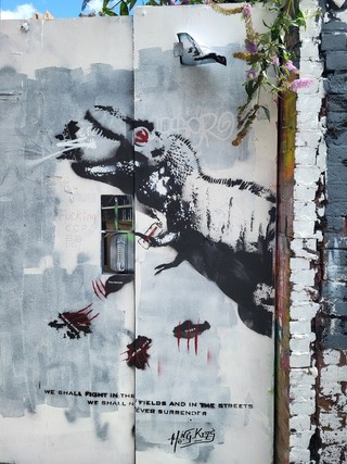 中國異議團體擬讓台灣太陽花登倫敦塗鴉牆