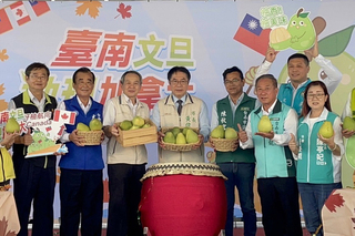 台南文旦產季最早到  7公噸外銷加拿大啟運