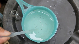 高雄本土登革熱增6例 天熱潮濕加速病媒蚊孳生