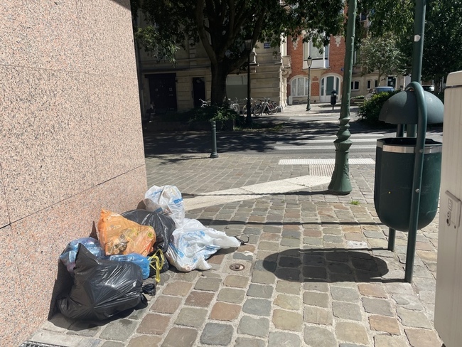 布魯塞爾垃圾新政惹議  廢棄物分類處理複雜常出錯 | 華視新聞