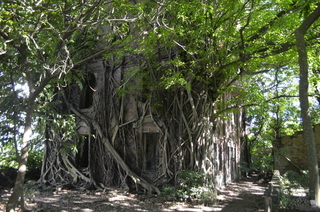 農曆7月遊嘉義 民雄鬼屋別有一番滋味