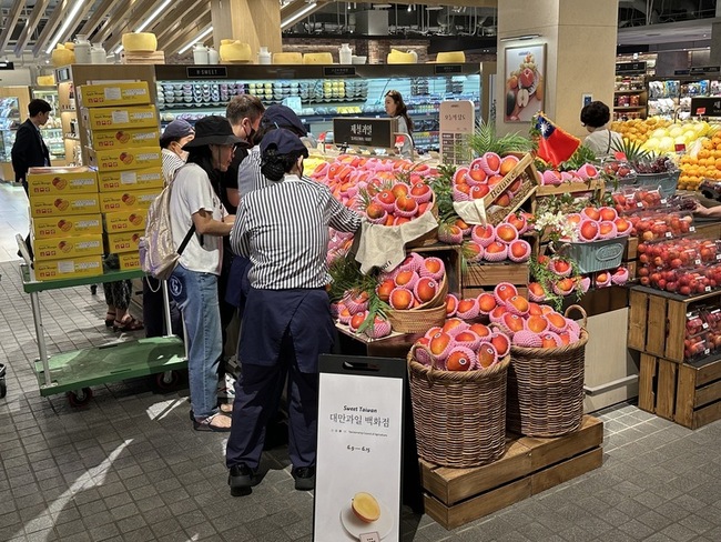 台灣芒果外銷韓國品質趨穩 單價高仍受青睞 | 華視新聞