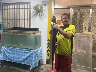 捕獲「大尾鱸鰻」 台東餐廳老闆巡水源驚嚇變驚喜