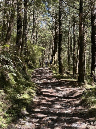 颱風蘇拉逼近 嘉明湖步道、霧鹿林道等16條預警封閉