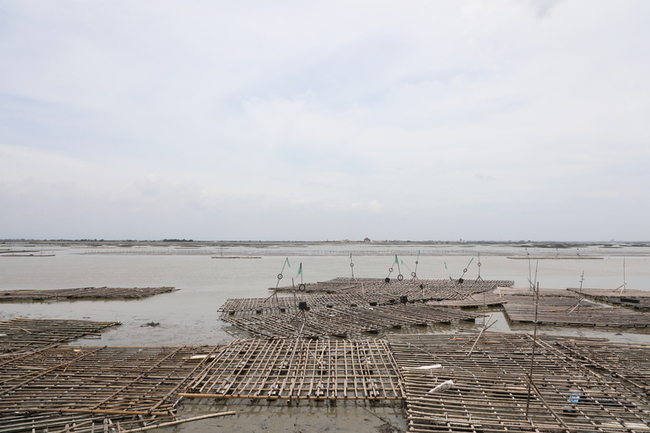 颱風來襲又年度大潮 嘉縣籲漁民自主防災降低損害 | 華視新聞