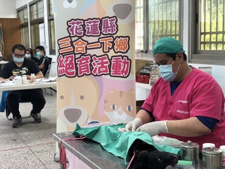 絕育植晶片接種疫苗  花蓮「犬貓三合一」開跑