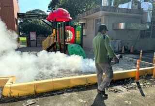 校園恐成登革熱傳播熱點  嘉縣啟動孳清專案