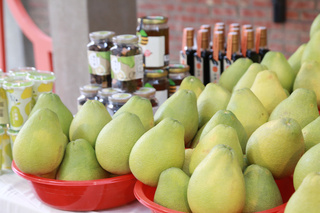 台南文旦採收逾7成 市府推產業文化節助行銷