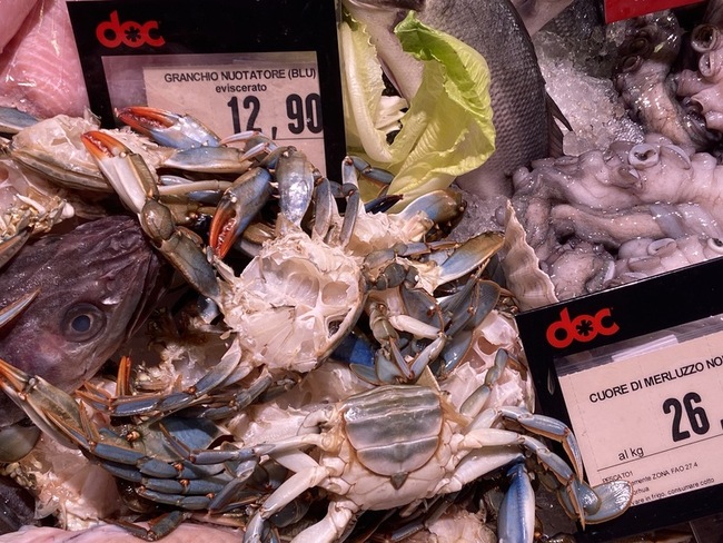 義大利掀藍蟹熱賣潮  從不速之客到時尚食物代表 | 華視新聞