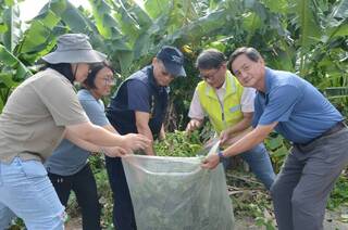 南投辦拔除小花蔓澤蘭趣味賽  防堵外來植物危害