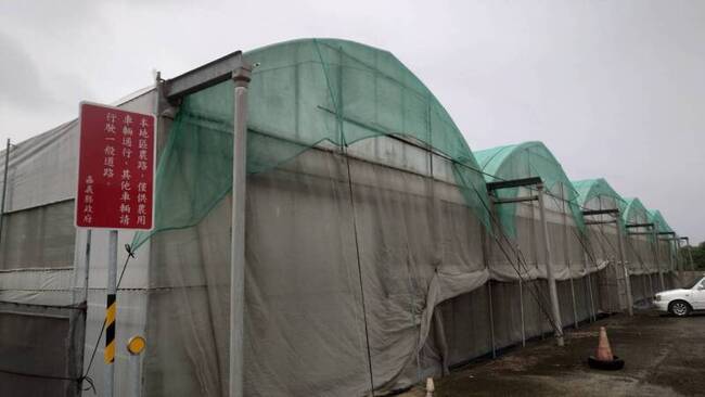 溫室屋頂罩綠網較美觀？ 嘉縣農民：防颱措施 | 華視新聞