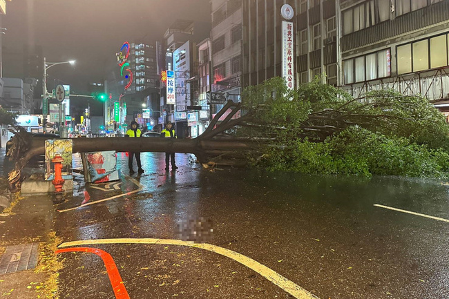 台南一夜風雨 95件路樹倒伏逾萬戶曾停電 | 華視新聞