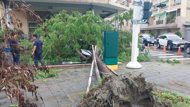 高雄前鎮、鳳山樹倒壓傷人 累計630棵路樹傾倒 | 華視新聞