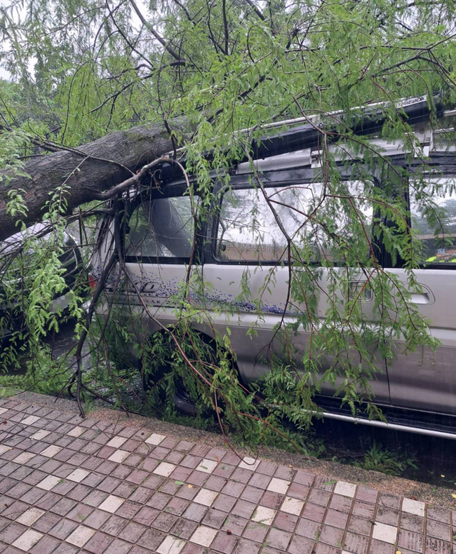 颱風海葵襲台  基隆、宜蘭路樹傾倒幸無人受傷 | 華視新聞