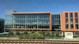 全球遠距工作調查 住房大小文化規範造成差異